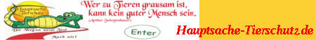 Tierschutz bedeutet f&uuml;r uns nicht "nur" Tiervermittlung, sondern Infornationen rund um die Themen Tierschutz und Tier, Beratung und Unterst&uuml;tzung